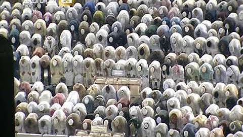 صلاة العشاء السبت 14-3-1439هـ الشيخ خالد الغامدي - سورة المنافقون