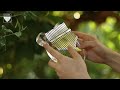 Beginning of video