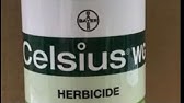 Killing Weeds in Warm-Season Lawns | Celsius WG ...