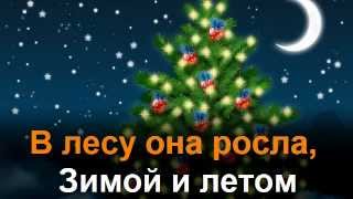 В лесу родилась ёлочка