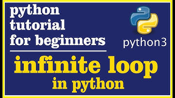 29- infinite loop in python
