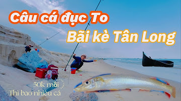 Câu cá đục chill chill bãi kè Tân Long Lagi Bình Thuận@Longvlog86 @Vecaomayman88