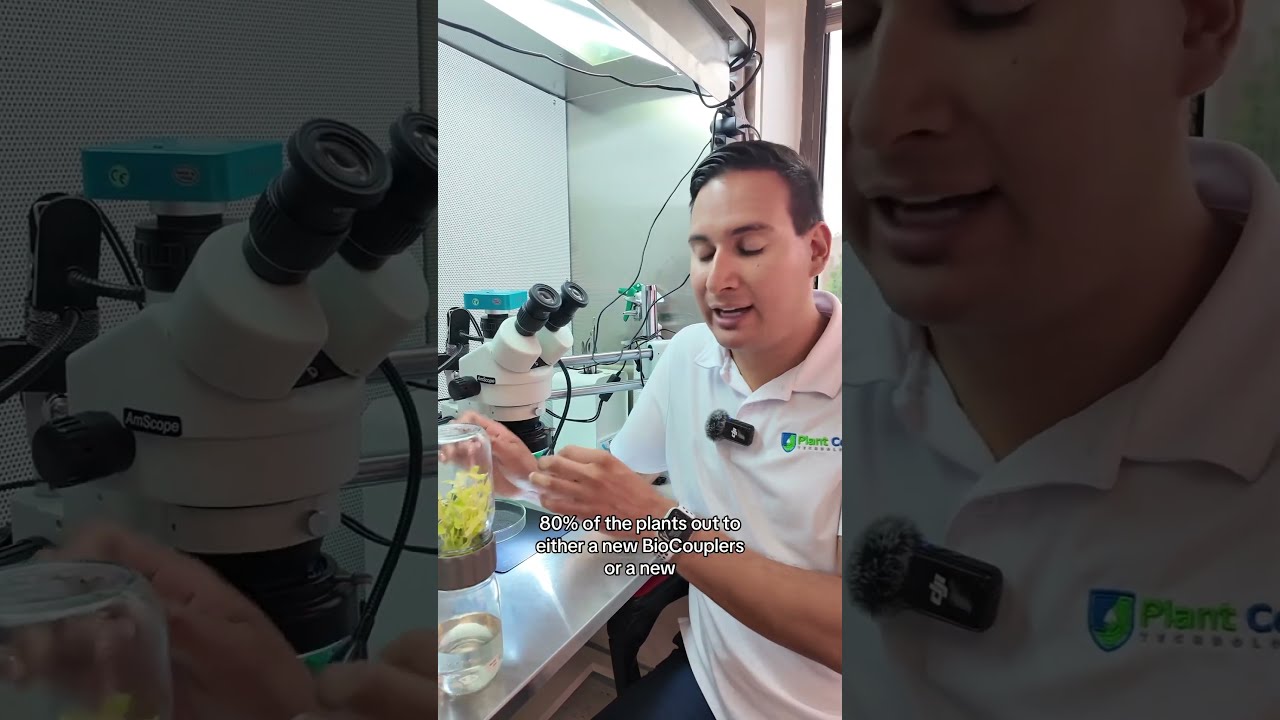 When Should You Subculture Your Plantlets Growing In The Biocoupler 
