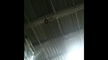 Bogen Horn Speaker Sound Quality  Intercom v BG Music [2020]