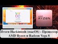 Итоги Hackintosh (macOS) - Процессор AMD Ryzen и Radeon Vega 8
