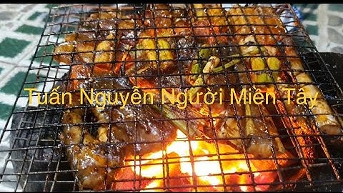 Câu cá chèo bẻo và nướng ớt sa tế...