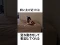 ビーグルあるある