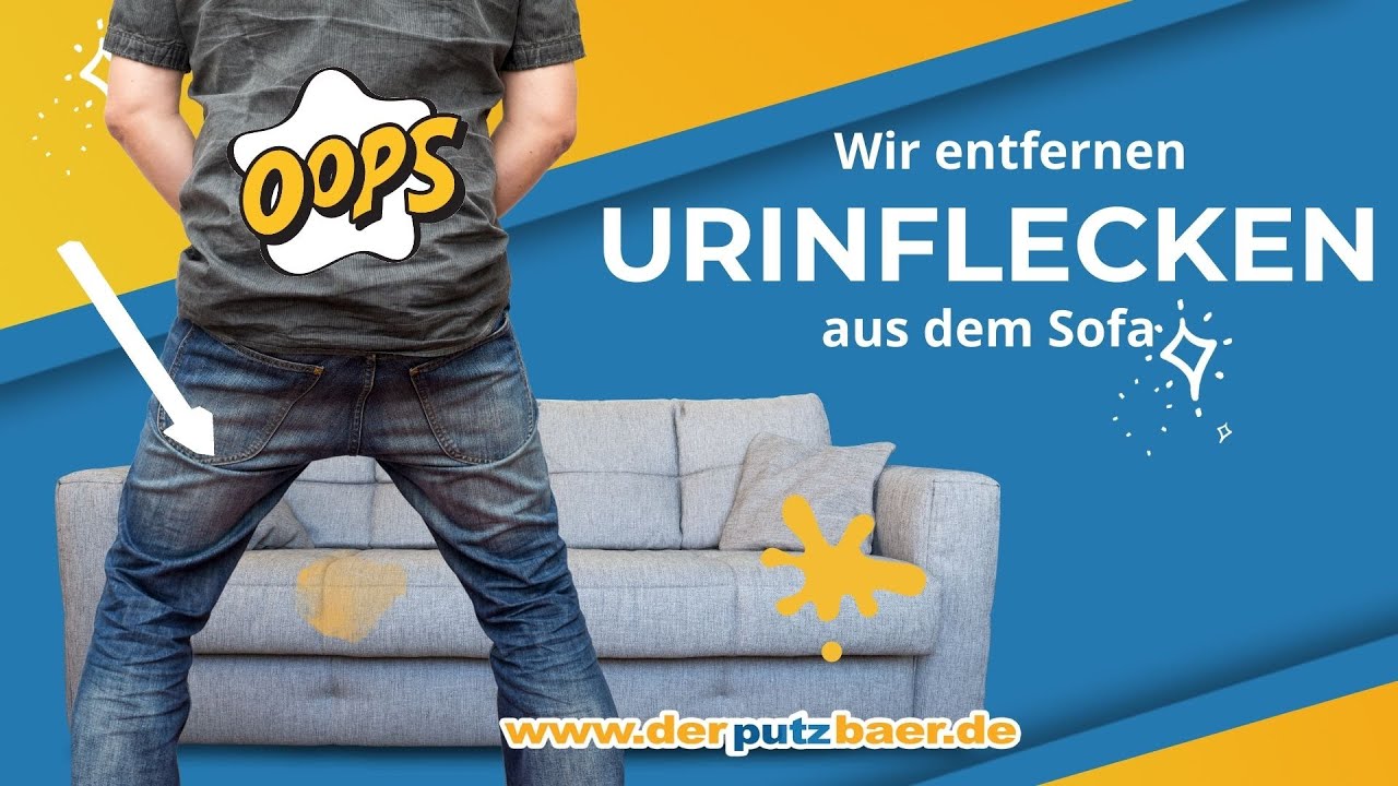 URINFLECKEN aus dem Sofa RAUS Wie entferne ich Urinflecken? YouTube