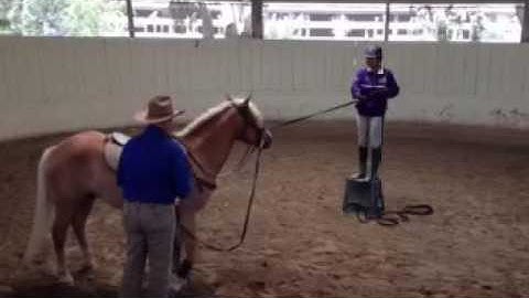 Mounting block with Monty Roberts