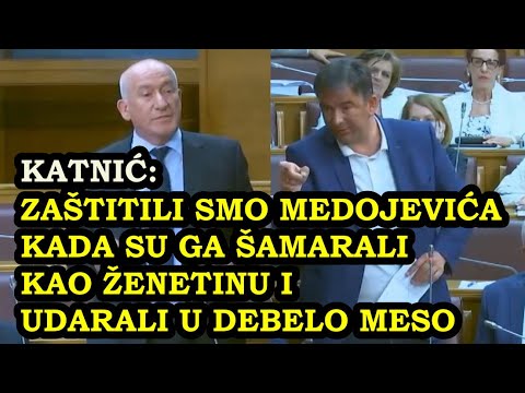 Milivoje Katnić: Zaštitili smo Medojevića kada su ga ŠAMARALI KAO ŽENETINU i udarali u DEBELO MESO