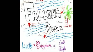 Suigeneris - Falling Down Ft. Cold Knightz X Lucidstaywoke