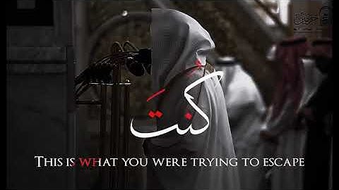 #قران_كريم #تلاوات_خاشعة #راحة_نفسية #لايك  #تلاوة_هادئة #اكسبلور #تلاوات_خاشعة #مسلمين 