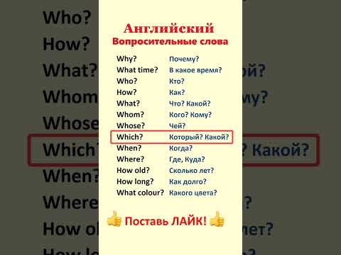 Вопросительные слова. Английский язык для начинающих. Английские фразы #short Voice