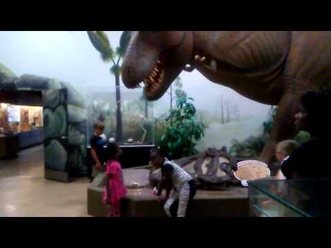 Little girl bucking at T-rex