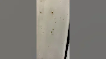 옆집 소음 소리 