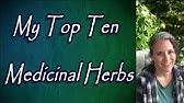 Medicinal Herb Garden | Every Homesteader Should Have One! (collab
