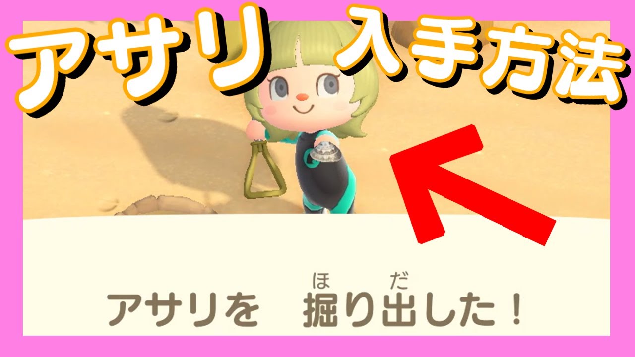 あつ森】あさりの取り方／入手方法【サンクスギビングデー】 - YouTube