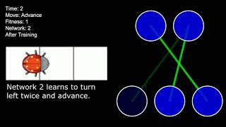 Neural Network: Navigation