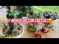 Respondiendo Tus Preguntas/Sembrando Cactus y suculentas
