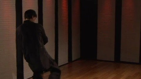 Praying Mantis Kung Fu  Fighting : Praying Mantis Kung Fu: Outside Forearm Block Groin Kick