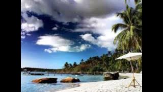 Gwen Stefani - Hollaback Girl (Electro House Remix)