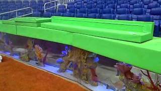 tampa bay rays stadium aquarium