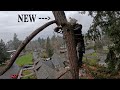Tree Yanked out by Crane: First Timer Edition!