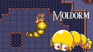 A Link to the Past | MOLDORM (No Damage)