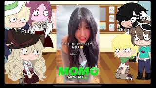 Dsmp React To ?? As K-Pop