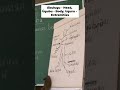 Ábulugu - Head, Úgubu - Body, Uguru - Extremities #shorts