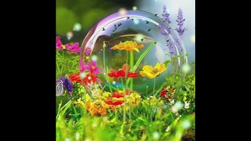 Thumbnail of Nature beauty flower 🥰🥰 with music 🎶 #short #shorts #trending #viral #ytshorts #nature