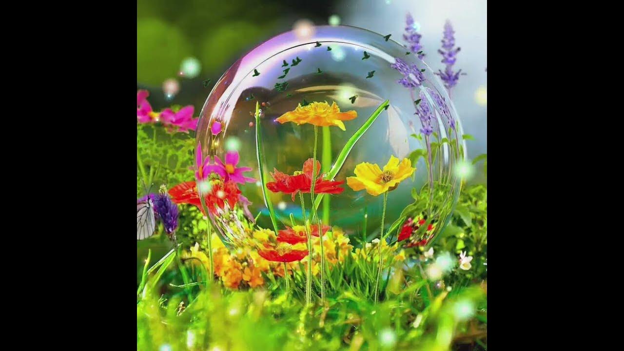 Nature beauty flower 🥰🥰 with music 🎶 #short #shorts #trending #viral #ytshorts #nature