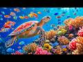 Calming Peaceful Piano Music For Inner Peace Calm Underwater Coral Reef Sound For Deep Sleep Calming Peaceful Piano Music For Inner Peace Calm Underwater Coral Reef Sound For Deep Sleep