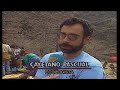 Castaño de Laujar en Almería, el árbol más antiguo de Andalucía