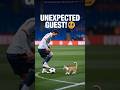 Cat vs Footballers — Guess Who Wins? ⚽🐱December 3, 2025