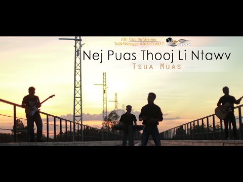 Video: Zoo Li Ntawv