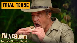 Trial Tease: Jungle Pizzaria | I'm A Celebrity... Get Me Out Of Here!