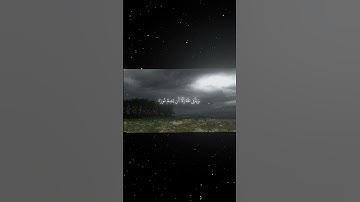 سورة التوبة|32|القارئ:#محمد_اللحيدان #قران #quran #راحة_نفسية #قران_كريم  #تلاوة_هادئة  #تلاوة_خاشعة
