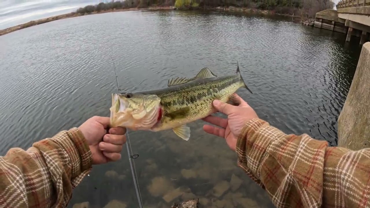 Bass Fishing #bassfishing #bass #outdoors