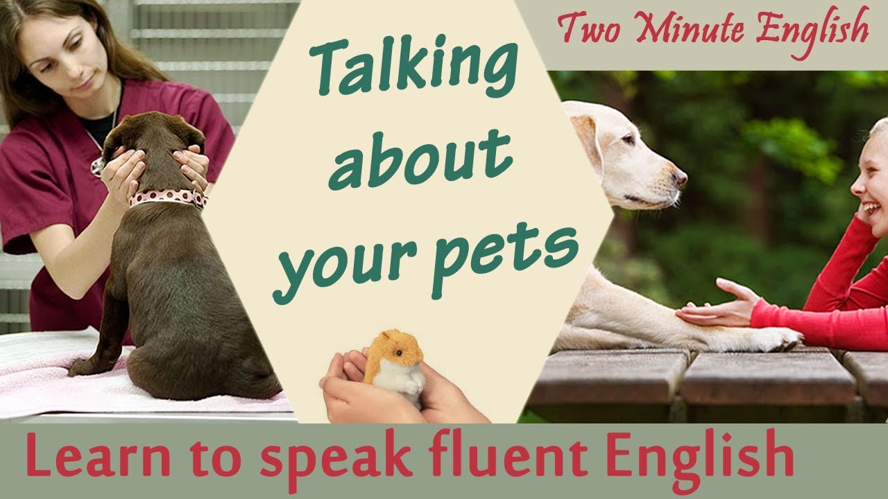 Write about a pet. About my Pet 5 класс. Pets in English. Talking about Pets in English. Мой питомец на английском 2 класс.
