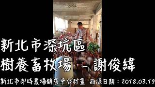 深坑區 - 樹養畜牧場 - 雞蛋 _ 新北市即時農場銷售平台計畫