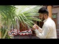 Aam olas ep  1103  mujeeb zalmay