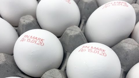 Coding and Marking on Eggs | Egg Printer and Egg Marking - RN Mark EP-5H