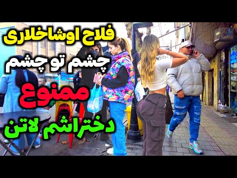  2024    بریم فلاح