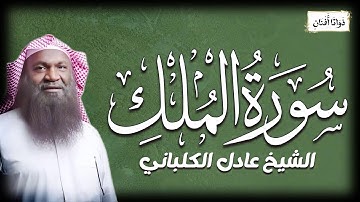 استمع إلى تلاوة عطرة من القرآن الكريم تبعث السكينة في نفسك