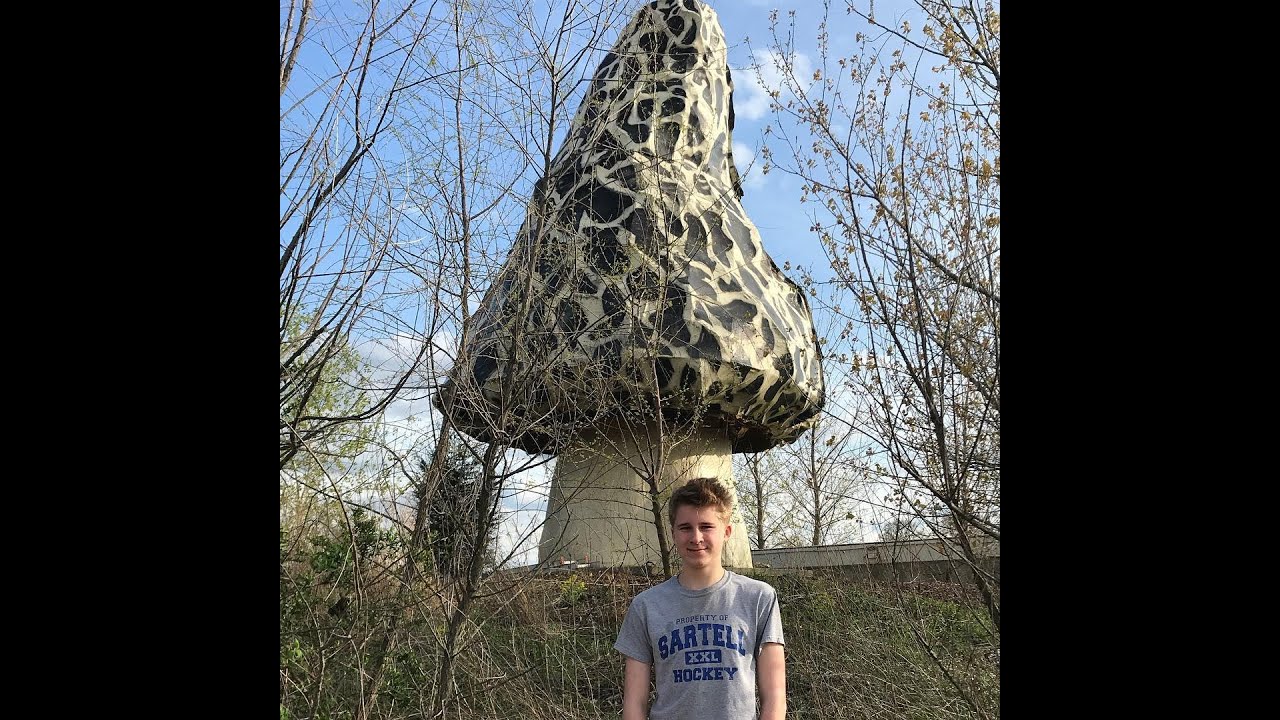 Giant Morel Mushrooms YouTube
