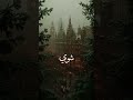 يتركني جنبك حبيبي