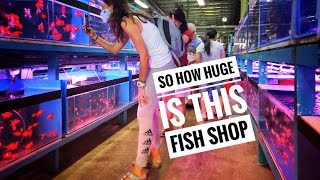 SINGAPORE BIGGEST FISH SHOP TOUR - NANYANG TRADING AQUARIUM