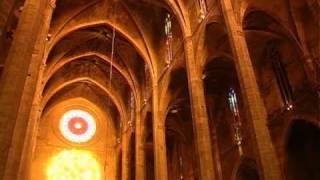 Espectaculo de luz en La Seu, catedral de Palma de Mallorca. Llums de Sant Marti