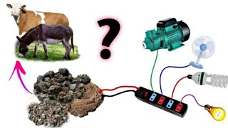 i turn cow dung free power generator Real Are Fake ?